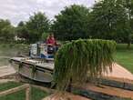 La guerre contre la myriophylle, cette plante d’aquarium qui asphyxie l’étang, a commencé à Reims