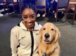 JO Paris 2024 : Beacon, le golden retriever qui aide l’équipe américaine de gymnastique à gérer leurs émotions avant les compétitions