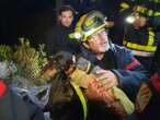 Pompiers et spéléos... Le spectaculaire sauvetage d’un chien piégé depuis samedi dans les Pyrénées-Orientales