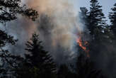 Incendies : quels sont les gestes à adopter pour éviter de déclencher un feu de forêt ?