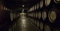 Bitcoin Miner Marathon's Anduro Unveils Tokenization Platform, Starts With Whiskey