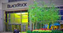 BlackRock's Bitcoin ETF Snaps 71-Day Inflows Streak, Data Show