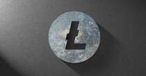 Ex-Valkyrie Founder’s Canary Capital Group Files for First Litecoin ETF