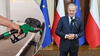 Polacy oczekują tańszego paliwa. Większość chce działań rządu