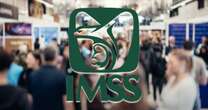 Se crean 73 mil 176 empleos formales en enero 2025, la cifra más baja en 9 años: IMSS