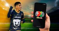 Jornada 12 de la Liga MX: ¿Quién juega hoy domingo 20 de octubre y dónde ver el Apertura 2024?