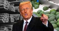 Del acero a las frutas: ¿Qué sectores de la economía de México serían ‘golpeados’ por aranceles de Trump?