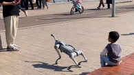 El fenómeno de los multifuncionales perros robots chinos que apagan incendios, guían a personas ciegas, patrullan las calles y sustituyen a las mascotas