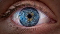 Humans have weirdly white eyes. Here’s why.