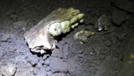 Burial site of all female extinct human relatives baffles scientists