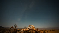 July Stargazing: Meteors, more meteors, Pluto, and even more meteors