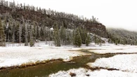 It snowed in Yellowstone this week