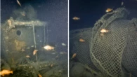Deep sea submersibles snap first photos of ship where Ernest Shackleton died