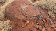 Ancient rocks suggest water has shaped earth for 3.1 billion years