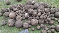 Medieval cannonballs and WWI bomb discovered under construction site