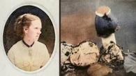 Charles Darwin’s daughter had an unusual hobby: Hunting phallic mushrooms