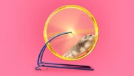 Hamsters run on wheels for a surprisingly joyful reason