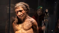 Could we ever clone Neanderthals?