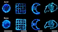 Glowing algae could power the lamps of the future