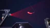 31 alien-like marine species discovered off the coast of Brazil