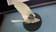 Tiny Australian falcons may help aircraft withstand worsening turbulence
