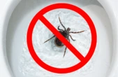 Don’t flush ticks down the toilet
