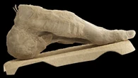 It’s a bird! It’s a head! No, it’s a mummified foot.