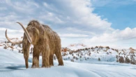 We’re still recovering from losing the woolly mammoth