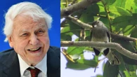 6 famous people with animals named in their honor