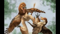 Velociraptor’s cousin flew like a flying squirrel