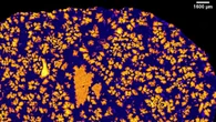 Rare meteorite proves our solar system almost had an extra planet