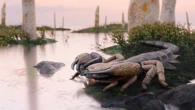 World’s biggest scorpions were the size of baseball bats