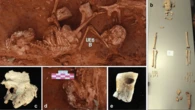 Decapitation, dismemberment, and deer antlers come together in one brutal Iron Age gravesite
