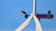 Birds avoid wind turbines painted like venomous snakes