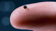 These tiny robots swim through your blood to fight strokes