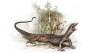 Cat-sized Jurassic reptile had the jaws of a python