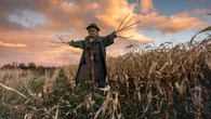 How scarecrows went from ancient magic to fall horror fodder