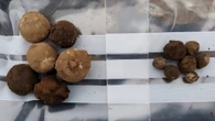 18th century lead ammo found in Scottish Highlands