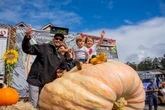 Behold, the pumpkin king: A 2,346 pound gourd
