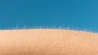 Why you get goosebumps when you’re scared—or inspired