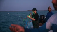 Saving sea turtles with solar-powered fishing nets