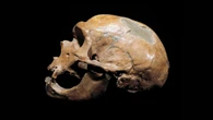 Lead has been poisoning humans for over 2 million years