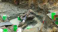 Huge mastodon skull found in a rural Iowa creek