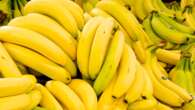 Bananas are at risk of extinction, but scientists have a plan