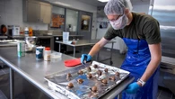 Ground beef infused with apple scraps clears taste test
