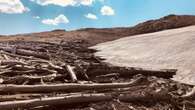 Thawing tundra reveals ancient fossilized forest in Montana