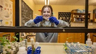 College student discovers mysterious fungus that eluded LSD’s inventor