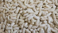 Why fava beans taste gross (and how scientists want to fix them)