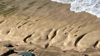 500-year-old petroglyphs resurface on Hawai’i beach
