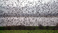 Weather radar picks up over 1 million migrating birds